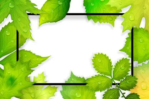Green leaves frame. Vector illustration Stock Illustration