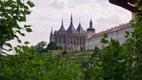 Green Leaves Framing a Distant Cathedral Stock Footage 313882245