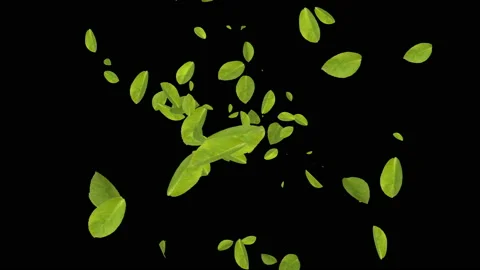 Green leaves generating and floating around 4K UHD footage Stock-Footage 139096545