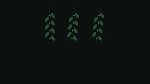 Green leaves hanging in a dark space creating a simple Stock Footage 338304617