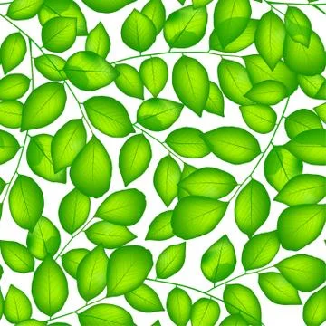 Green leaves iin a seamless pattern Stock Illustration