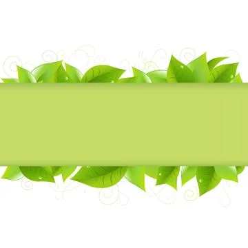 Green leaves Stock Illustration