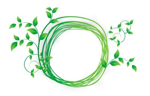 Green leaves Stock Illustration