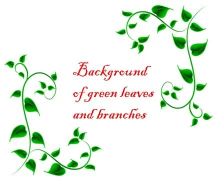 Green leaves Stock Illustration