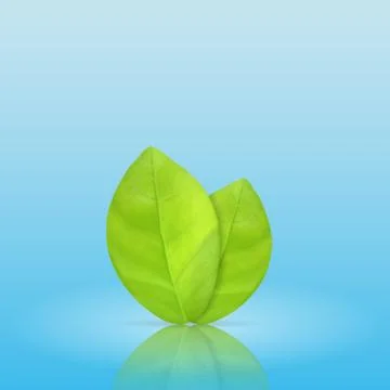 Green leaves Stock Illustration