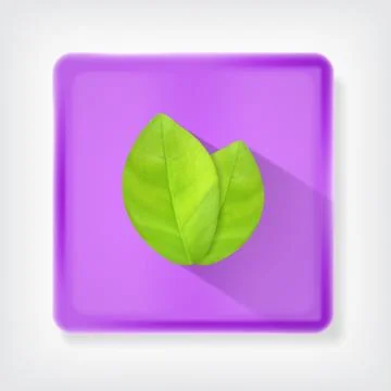 Green leaves Stock Illustration