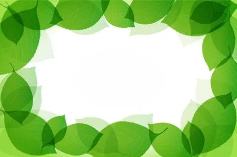Green leaves Stock Illustration