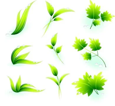 Green Leaves Stock Illustration
