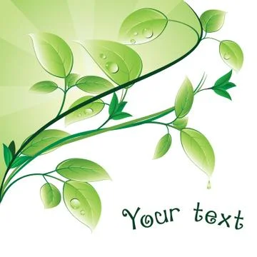 Green leaves Stock Illustration