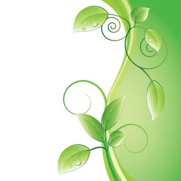 Green leaves Stock Illustration