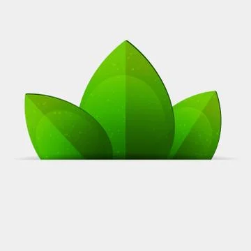 Green leaves Stock Illustration