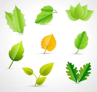 Green leaves Stock Illustration