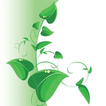 Green leaves Stock Illustration