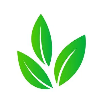 Green leaves 스톡 일러스트