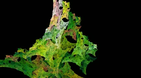 Green leaves morphing, seamless loop 1080 库存影片 10860485