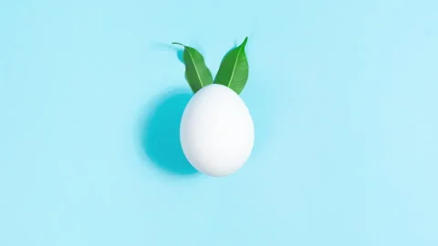 Green leaves move cyclically like ears of an Easter bunny. Minimal concept.  Stock Footage 304740602