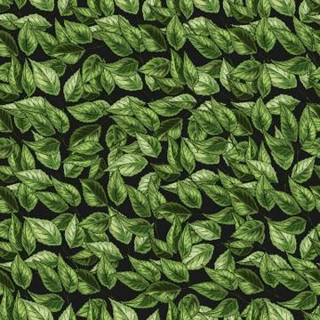 Green leaves on the nature background. Vector green foliage seamless pattern. 스톡 일러스트