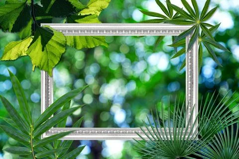 Green leaves pattern with antique white picture frame on natural bokeh blur.. 스톡 사진