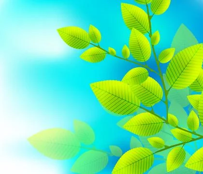 Green leaves pattern background. Ecology modern abstract template Stock Illustration