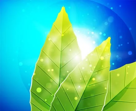 Green leaves pattern background. Ecology modern abstract template Illustrazione stock