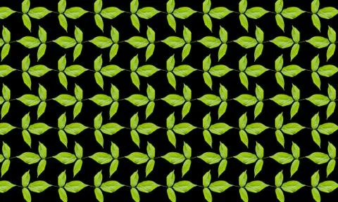 Green leaves pattern on black background Foto stock