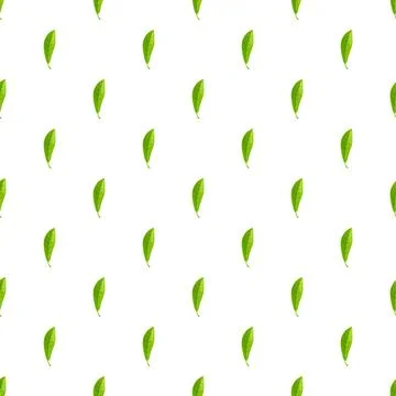 Green leaves pattern creating seamless organic background Stock Illustration