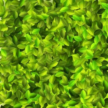 Green leaves pattern degign. + EPS10 Stock Illustration
