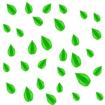 Green Leaves Pattern Spring Green Leaves Pattern Isolated on White Backgro... Stock Photos