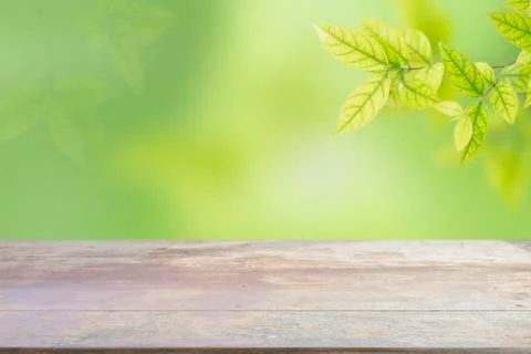 Green leaves Foto stock
