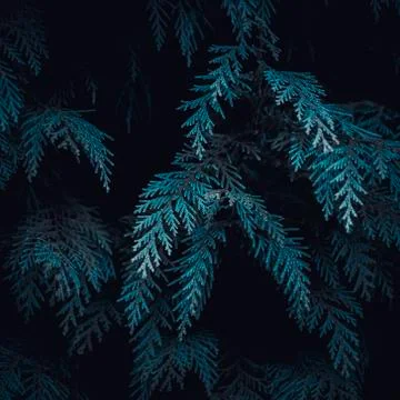 The green leaves Stock Photos