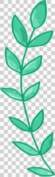 Green leaves Stock Photos