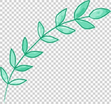 Green leaves Stock Photos
