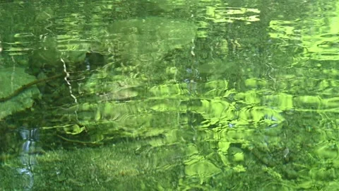 Green leaves reflect on the waves of a mountain stream (slow motion) Video stock 260837740