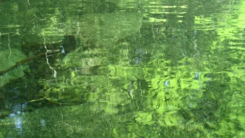 Green leaves reflect on the waves of a mountain stream Stock Footage 260838150