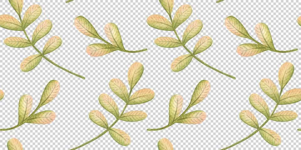 Green leaves seamless pattern isolated Stock-Illustration
