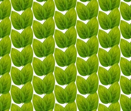 Green leaves seamless pattern vector background Stock Illustration