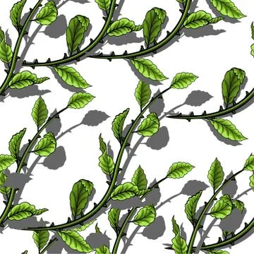 Green leaves seamless pattern on white background. Stock Illustration