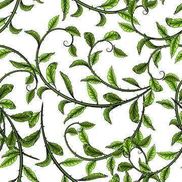 Green leaves seamless pattern on white background. Stock Illustration