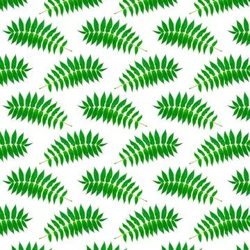 Green leaves seamless pattern on a white background. 스톡 사진