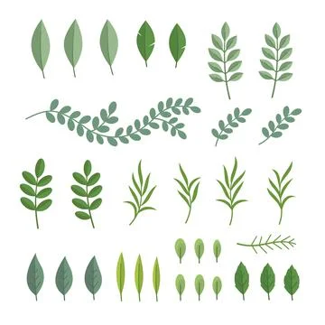 Green Leaves Set. Spring Botanical Herbal Icons. Vector Stock Illustration