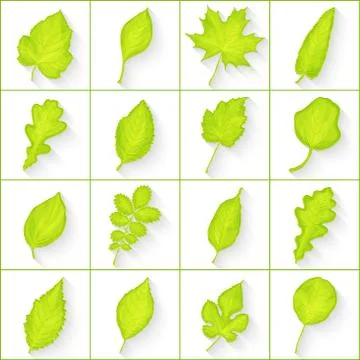 Green leaves set vector Stock Illustration