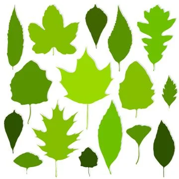 Green leaves set on white background vector Illustrazione stock