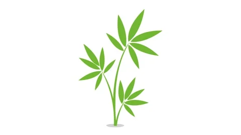 Green leaves on stem, simple animation video vector illustration Stock Footage 327943510