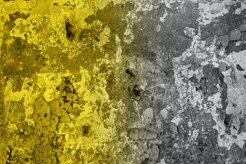 Green leaves surface. Stock Photos