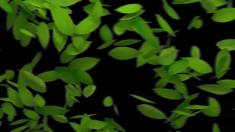 Green Leaves Transition Stock Footage 100541953