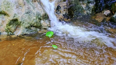 Green Leaves Twist on Water Surface by Waterfall Stock Footage