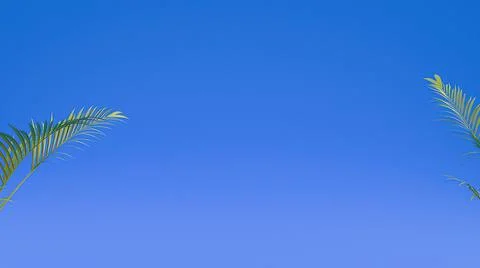 Green leaves two side blue background. Summer concept. Flat lay, top view, co Illustrazione stock