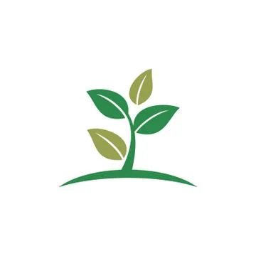 Green Leaves vector Logo Template Illustration Design. Vector EPS 10. Stock Illustration