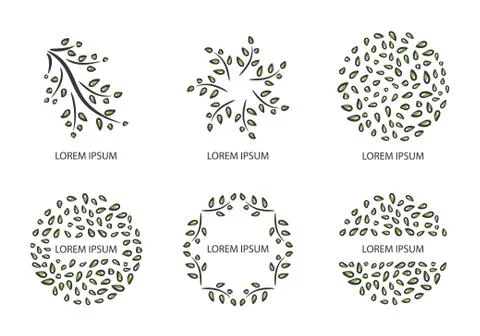 Green leaves. Vector set of logo design templates and emblems. Floral ornament. Stock Illustration