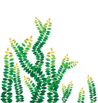 Green leaves on the wall vector Stock Illustration